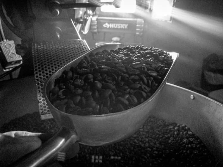 Oaxaca - Dark Roast Coffee